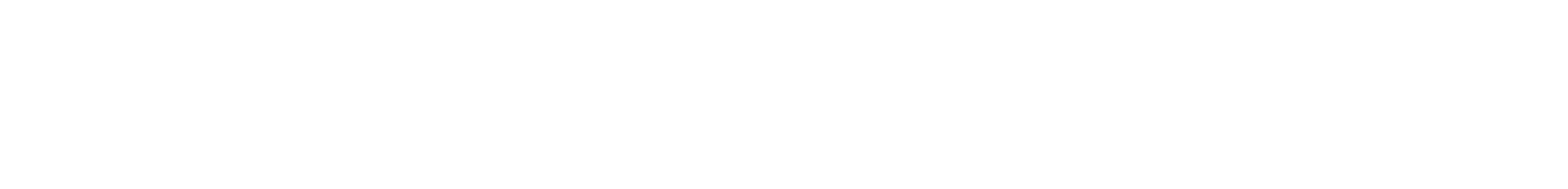 Opera Prima 1996